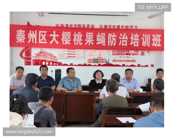 飞盘新手必看：从零基础到高手的全面提升指南